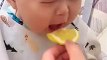 Baby Eating Lemon | Babies Funny Reactions | Babies Funny Moments | Cute Babies | Naughty Babies #baby #babies #beautiful #cutebabies #fun #love #cute #beautiful #funny