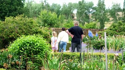 Entally blooming | The Examiner | December 3, 2023