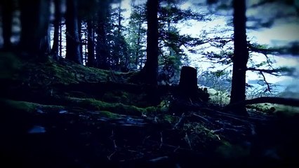 Alaska Killer Bigfoot S01E2