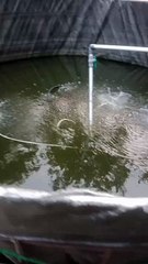 Apa judul yang cocok untuk video ini❓