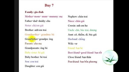 Tiếng Anh Từ vựng cơ bản theo chủ đề #7 Family – Gia đình