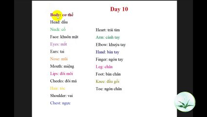 Tiếng Anh Từ vựng cơ bản theo chủ đề #10 Body – cơ thể
