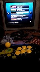 Bloody Roar Extreme with Qanba Drone N2