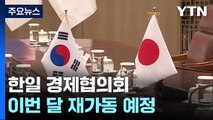 한일 고위경제협의회, 8년 만에 복원...이번 달 서울 개최 / YTN