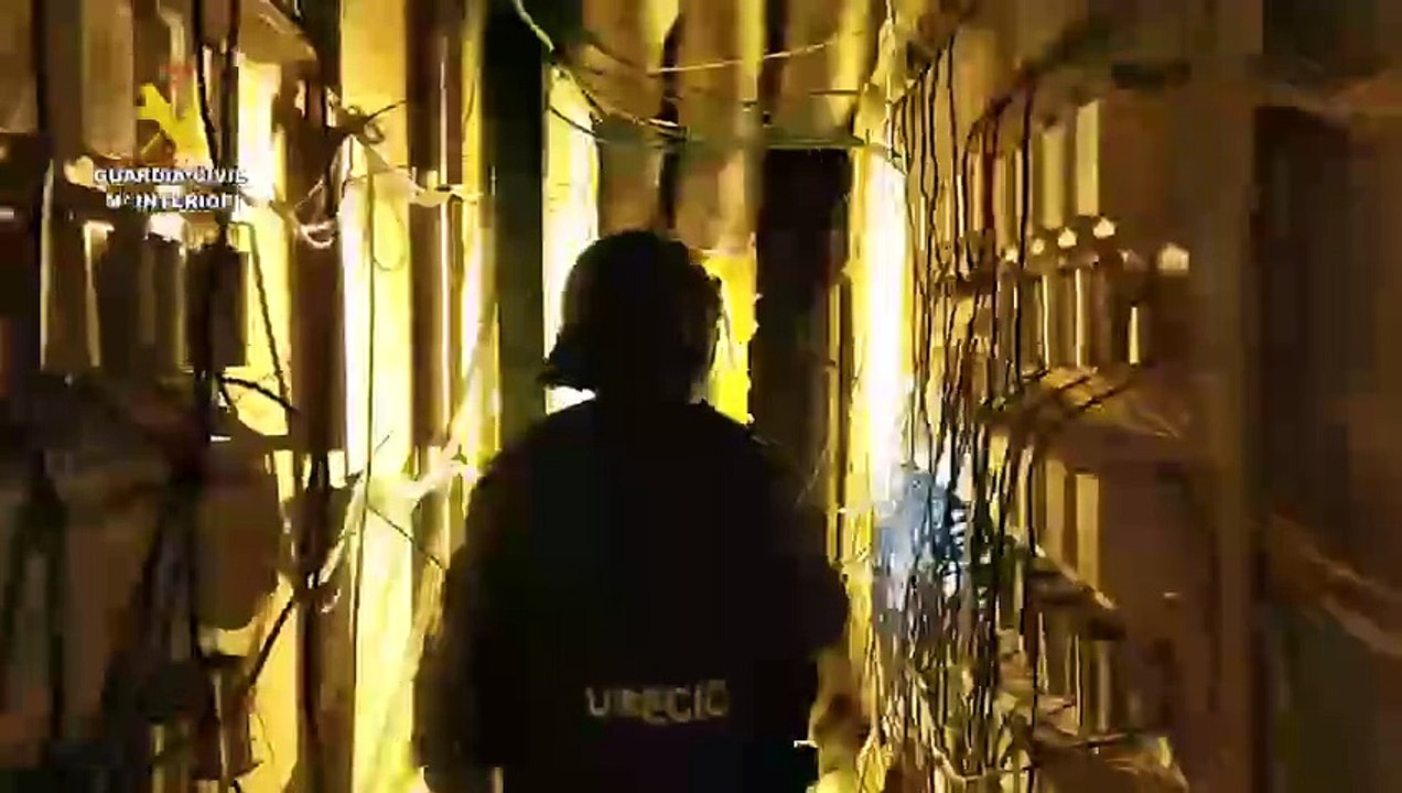 Desmantelan en Cabanillas una nave con más de 9.000 plantas de marihuana y detienen a tres chinos escondidos en un túnel