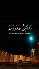 إن الله يعلم ما يكن صدورهم