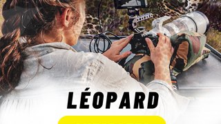 2 anecdotes sur le léopard