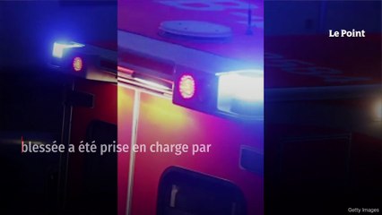 Attaque au couteau à Paris : un touriste allemand tué, l'assaillant interpellé
