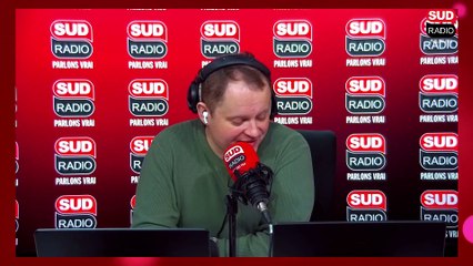 Il est temps de trouver votre sapin de Noël - Tous au jardin