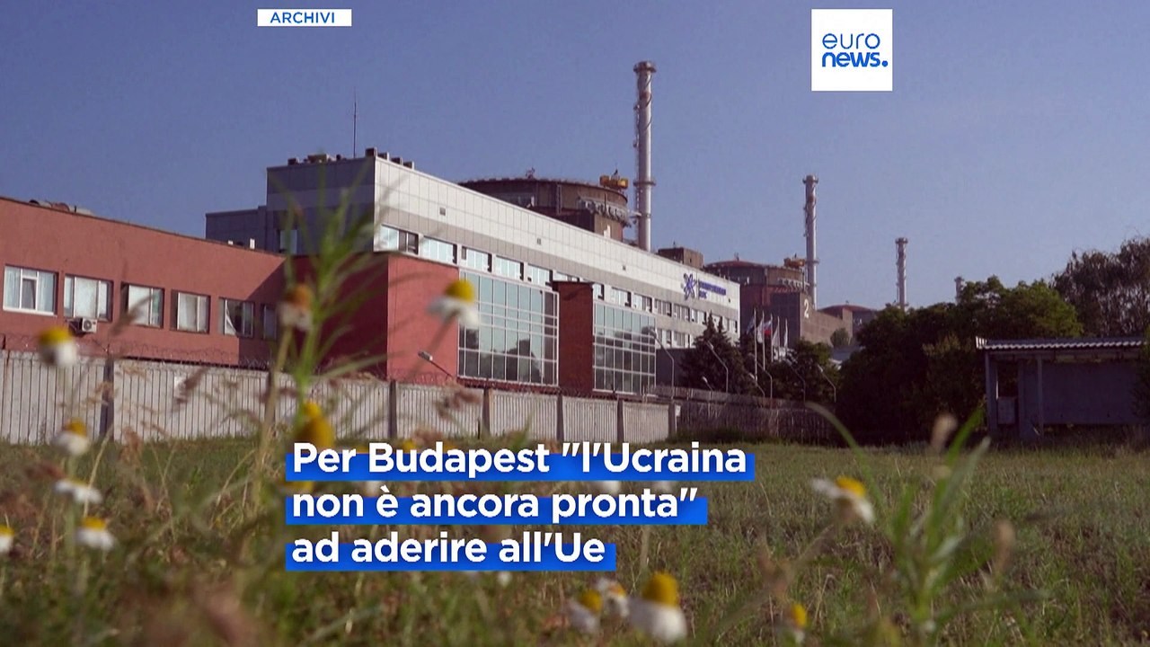 Ucraina, divieto di espatrio? Poroshenko smentisce