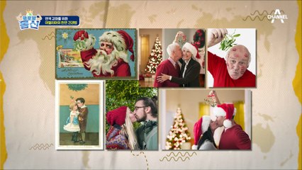 미슬토를 아시나요? 암 치유 목적으로 연구가 활발한 이탈리아 천연 재료