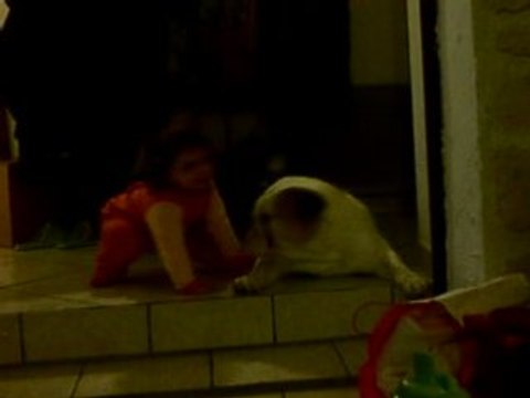 Braddy et Charlotte :les deux compères