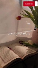 فسبح بحمد ربك واستغفرة سورة_النصر #quran #اكسبلور #السعودية #قرآن #sorts #قرآن #لايك