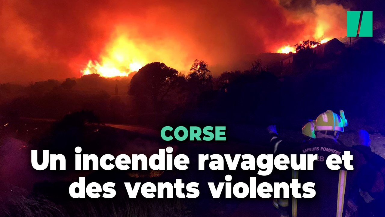 La Corse touchée par un violent incendie en pleine vigilance orange pour vents violents