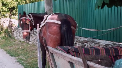 4 OCT 2023 Moldavie - Reportage Vent d'Est