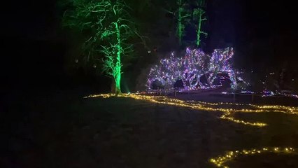 Wentworth Woodhouse: Hundreds visit A Tale As Old Time Christmas experience and Light Trail