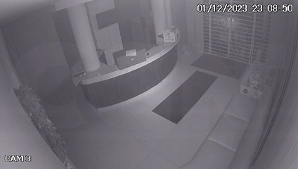 Câmera flagra dupla arrombando escritório antes de ser presa