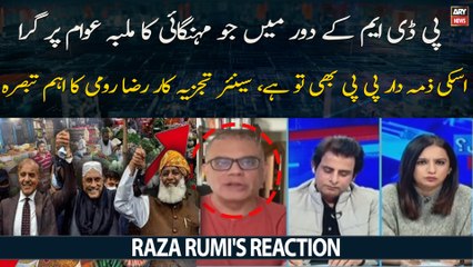 "Mehngai Ki Zimedar PMLN Kay Sath PPP Bhi Hai...", Raza Rumi