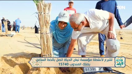 من قلب مزارع النخيل مع إنجازات مؤسسة نبض الحياة