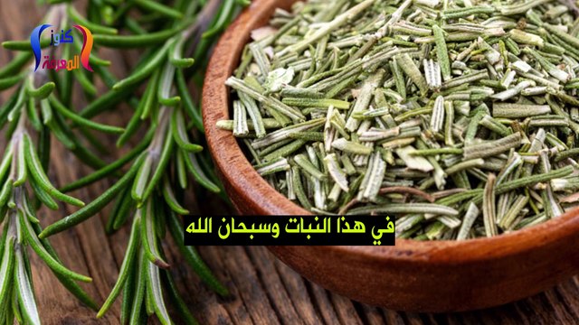 اشرب كأس من عصير هذه النبتة تزيل الآم المفاصل الركبة الظهر وتعالج النسيان والعياء وحتى الغدة الدرقية