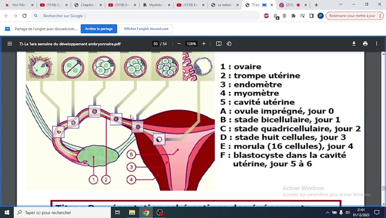 1ER SEMAINE DE