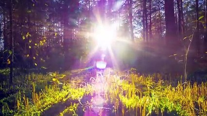 Steliana Sima - Dulce-i dragostea neicuta-l meu