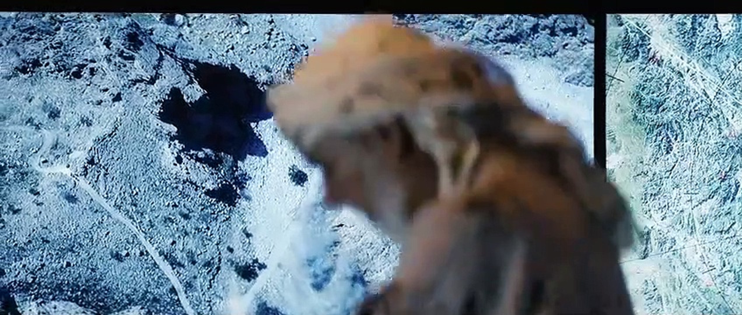 2021  فيلم الكمين