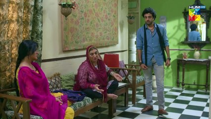 Fareb - 2nd Last Episode 31 - 3rd Dec 2023 - [ Zain Baig, Zainab Shabbir , Maria Wasti ] - HUM TV