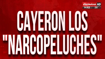 Cayerón los "narcopeluches: iban a ser enviados a Hong Kong