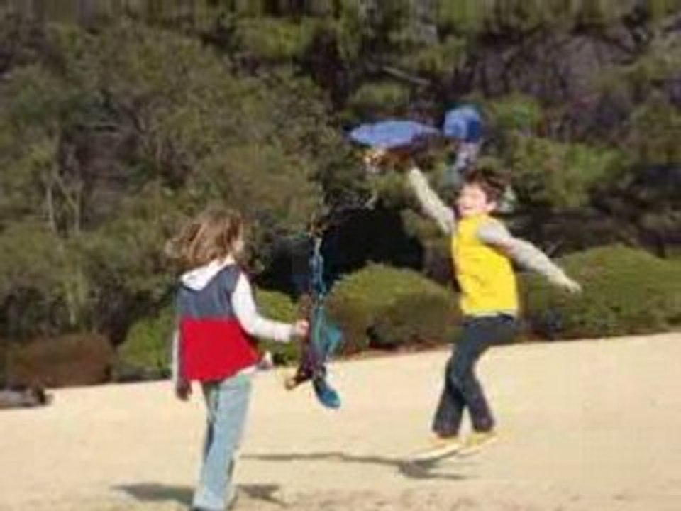 cerfs-volants balinais