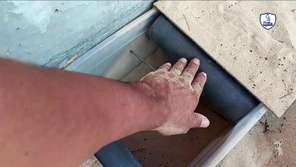 صيد العقارب Scorpion hunting