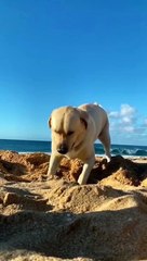 First time going to the sea