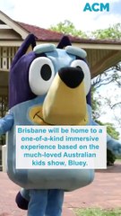 Wackadoo! A Bluey theme park is opening in Brisbane