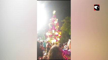 Encendieron el emblemático árbol de Navidad en Capioví