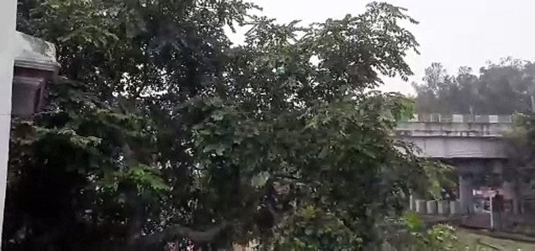 IMD Alert: काले बादल और झमाझम बारिश बढ़ा दी ठंडक, मौसम विभाग ने जारी की चेतावनी