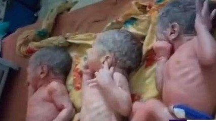 अमरोहा: महिला ने तीन बच्चों को दिया जन्म,परिवार में खुशी की लहर