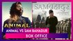 Animal vs Sam Bahadur Box Office: Ranbir Kapoor's Film Outshines Vicky Kaushal-Starrer