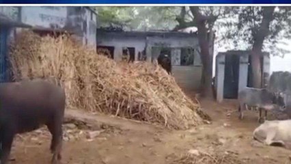 चित्रकूट: गांव में कच्ची सड़क बनी ग्रामीणों के लिए मुसीबत,ग्रामीण ने खोल दी विकास की पोल