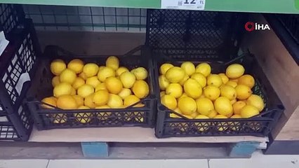 Tonlarca limon dere yatağına döküldü