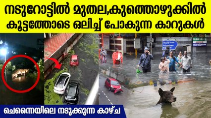 നടുറോട്ടില്‍ ആളെ വിറപ്പിക്കും മുതല,കൂട്ടത്തോടെ ഒഴുകി വരുന്ന കാറുകള്‍, ചെന്നൈയിലെ അവിശ്വസനീയ ദൃശ്യം