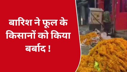 वाराणासी: कूड़े की ढेर में किसानों की मेहनत, बिन मौसम बरसात ने किया बर्बाद