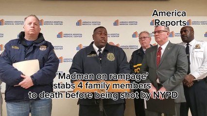 'Madman on rampage' stabs 4 family members to death before being shot by NYPD