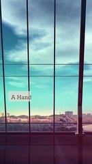 Rediscover Your Passion Hobbies for Retirees