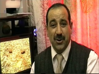 شاعر البادية يروي قصة النقطة والعجينة: قصة مشوقة في عجينة العرس"