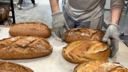 Chez les copains de Terra Maïr