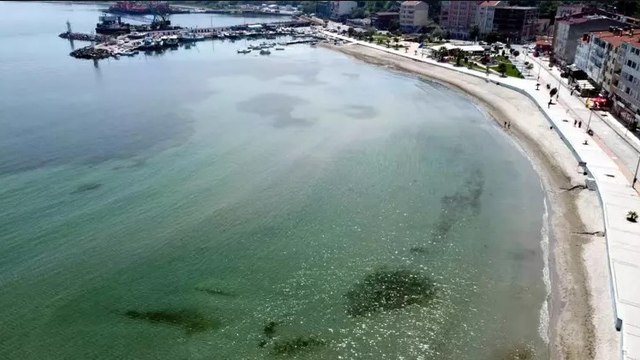 Prof. Dr. Lokman Hakan Tecer: Marmara Denizi'nde su sıcaklığı 50 yılda 2,5 derece arttı