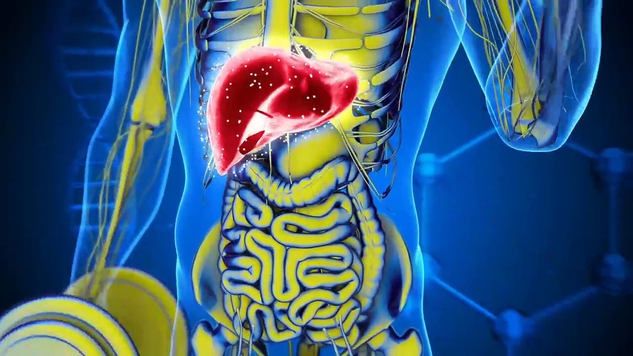 What Happens to Your Body If You Quit Sugar for 14 Days  I डॉक्टर ज़ी