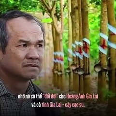 Bầu Đức - Hành Trình Thăng Hoa của Tỷ Phú Đầu Tư Nổi Tiếng Việt Nam 🇻🇳