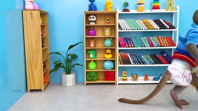 Monkey Baby Bon Bon eats rainbow jelly with puppies and bathes with ducklings in the bathroom