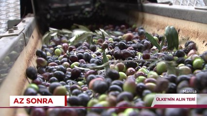 Ülkenin Alın Teri - Zeytincilik | 3 Aralık 2023